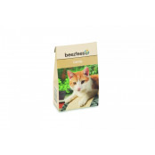 Beeztees Catnip box 20g