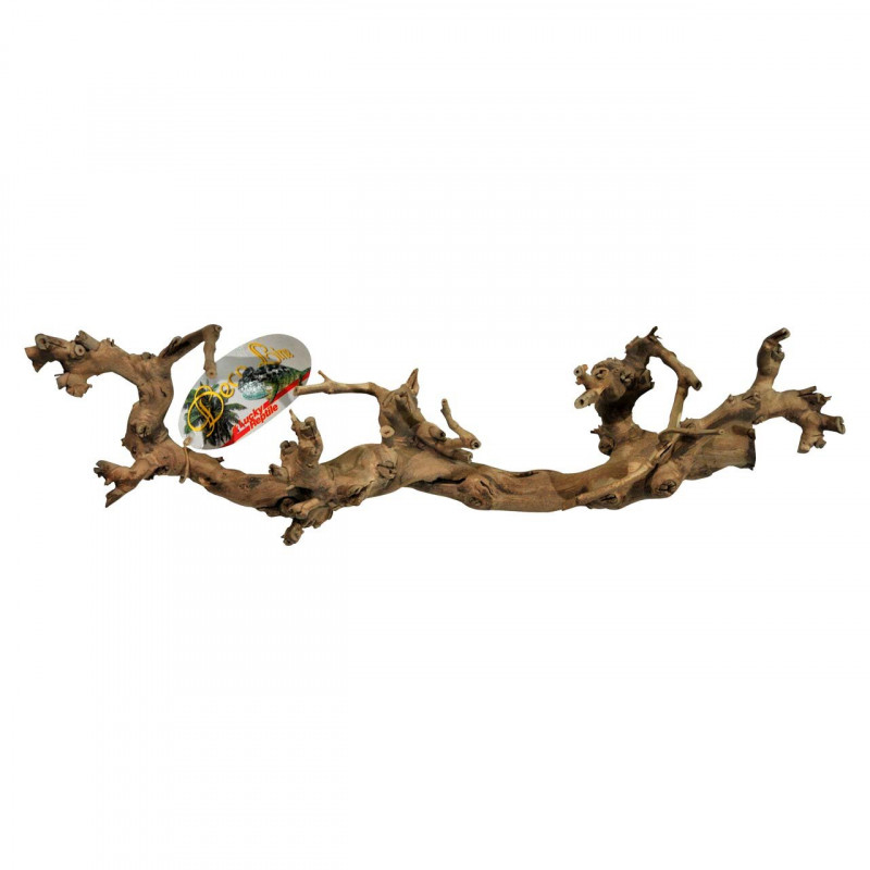 Lucky Reptile Grapevine M 40-60 cm